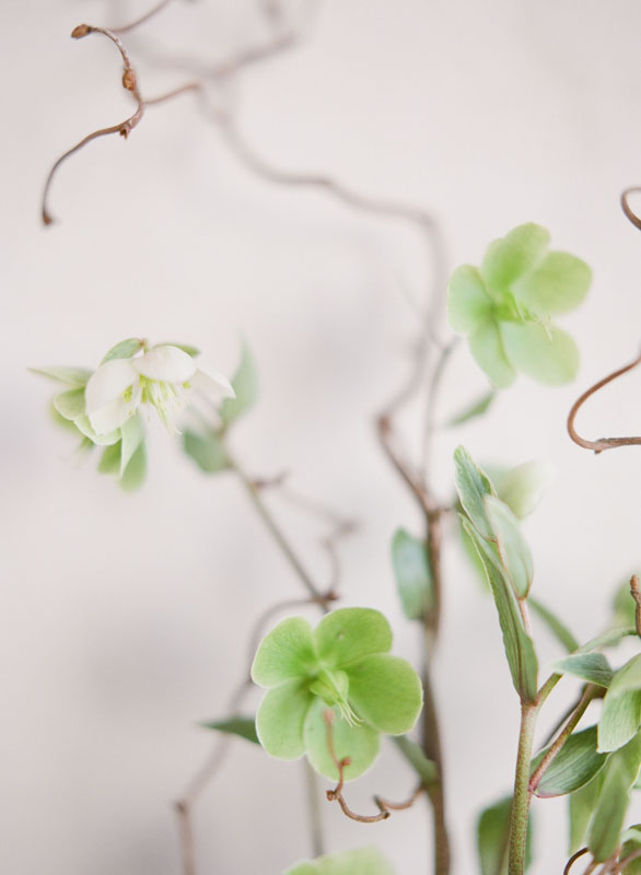 greg-finck-photography-workshop-12